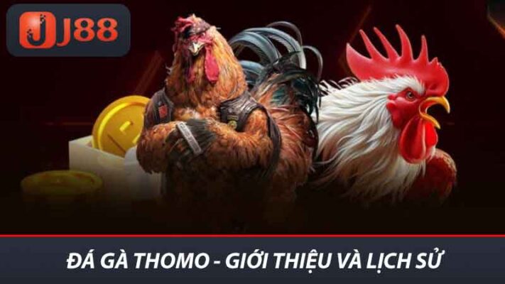 Tìm Hiểu Về Đá Gà Thomo - Nơi Đẳng Cấp Cho Tín Đồ Gà Chọi 2 Đá gà Thomo - Giới thiệu và lịch sử