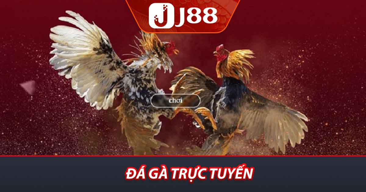 Đá gà trực tuyến